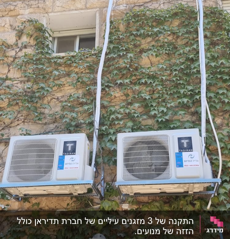שני מזגנים מותקנים על קיר עם צמחייה מטפסת